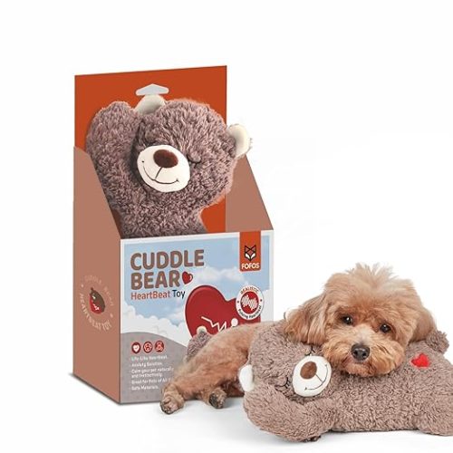 Bear Plush Dog Toy