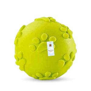 Squeaky Dog Chew Ball
