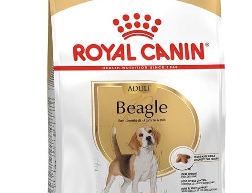 Royal Canin Beagle Adult Dog Food, 3 Kg