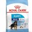 Canin Maxi Puppy Food