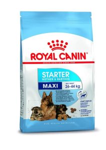Royal Canin Maxi Starter