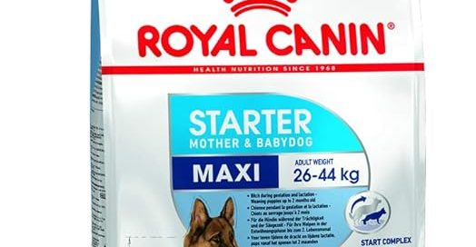 Royal Canin Maxi Starter