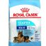 Royal Canin Maxi Starter