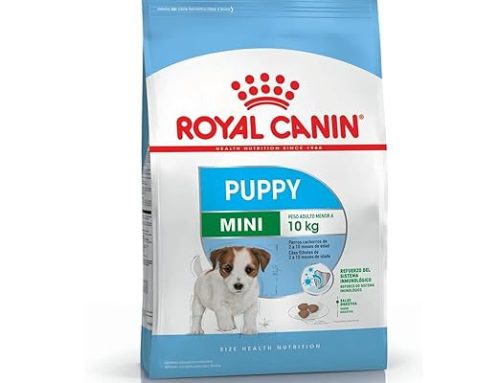 Royal Canin Mini Puppy Food, 800 Grams, Dry Food, Supports Complex Natural Defence & digestive health, Supports Immune System